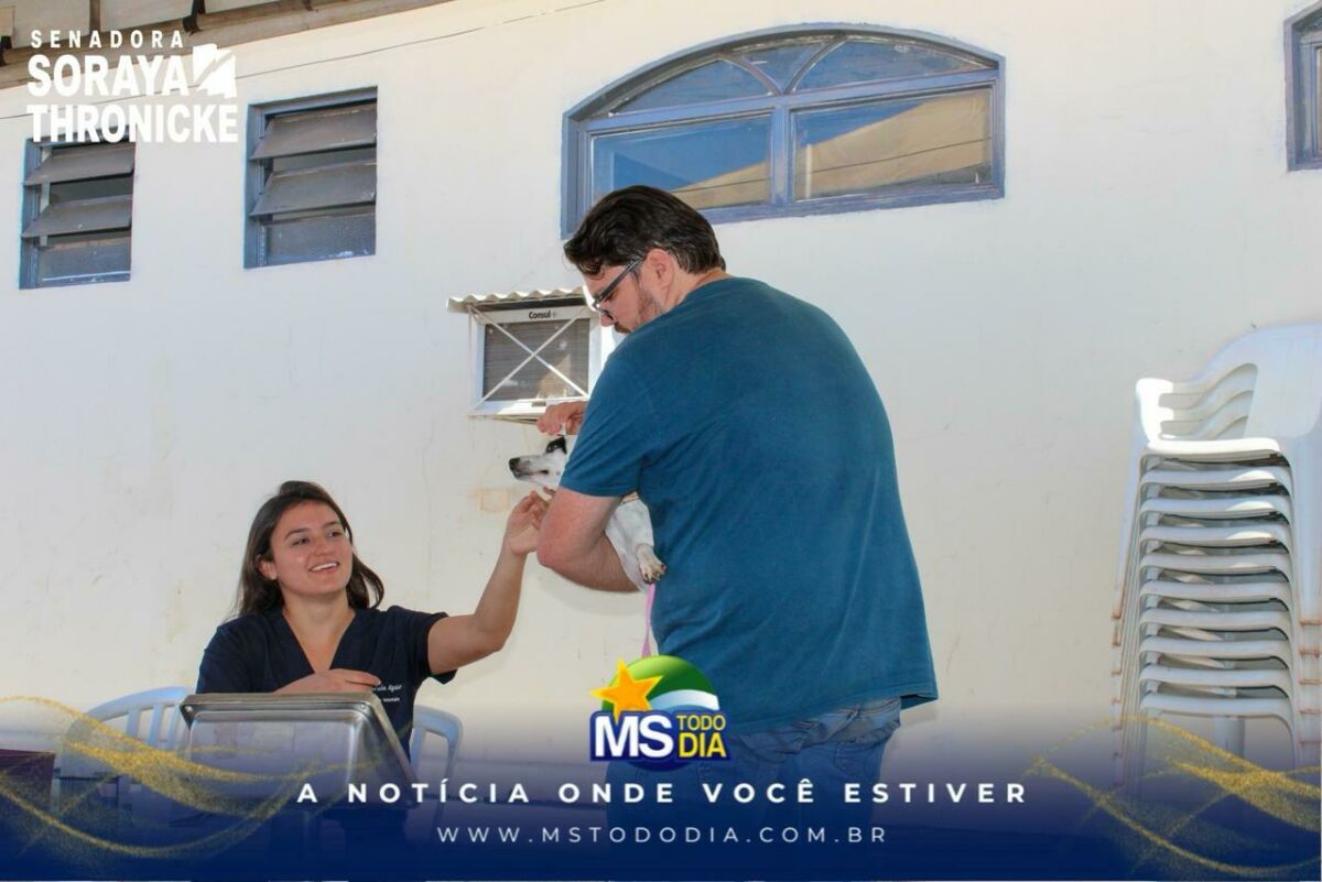 Imagem da Galeria